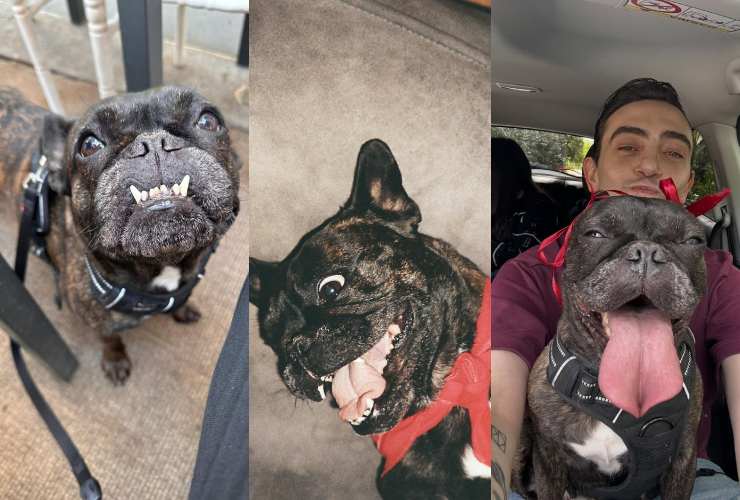 Michele Bravi in lutto: l’addio alla sua amata “Signora Longari” commuove i fan